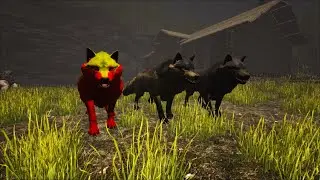 Oswajanie wilków (#arksurvivalevolved )