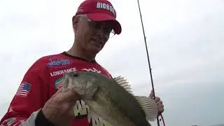 ForceOnForce 2018 Eps 7 Championship