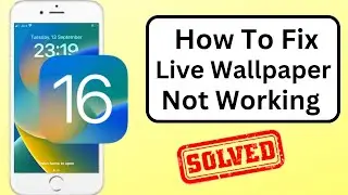 Исправление проблемы с живыми обоями на iOS 16 | Как установить живые обои на iPhone с iOS 16