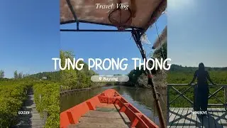 Exploring Tung Prong Thong: Golden Mangrove Adventure in Rayong, Thailand 🇹🇭