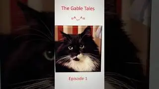 Epic Master Gable the Cat Tales ❤️ =^.,.^= Episode 1  #cat #mindfulness  #animals #catlovers #life