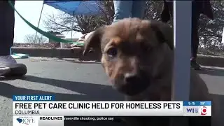 Free pet care clinic provides healthcare resources to homeless pets and their owners