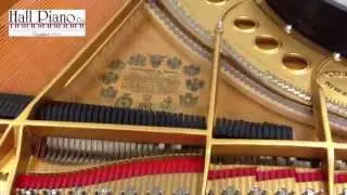 Circus Galop (HD) Live Recording On A Steinway Grand