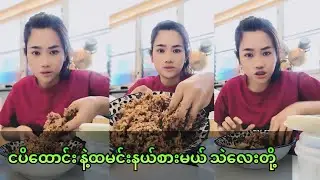 မမ ငပိထောင်းနဲ့ထမင်းနယ်စားမယ် သဲလေးတို့😍😘