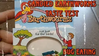 Candied Earthworms Hotlix Candy Company Taste Test Review Bug Eating