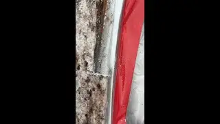 The Hidden Reason Your Granite Is Cracking (and How We Fix It) #shorts
