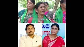 Amravati Farmers Public Talk About Sakshi Journalist || #ysjagan #ysbharathireddy #ap #shortsfeed