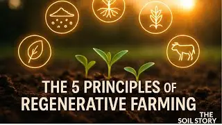 The 5 Principles of Regenerative Farming | The Soil Story