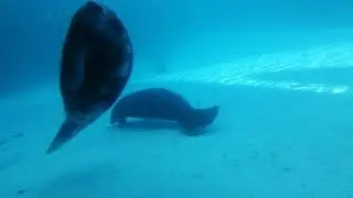 Safari world marine park