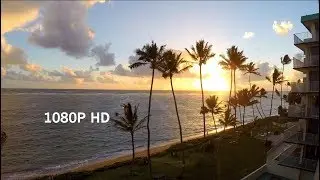 Tropical Beach Sunrise over Punaluu, Oahu, Hawaii