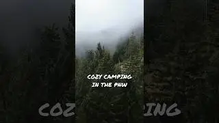 Camping in the PNW is a ✨ vibe ✨ #pnw #camping #cozycamping #freecamping #pnwonderland
