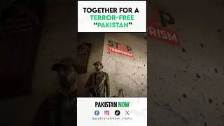 Pakistan Needs Unity to Defeat Terrorism | Stand Together for Peace