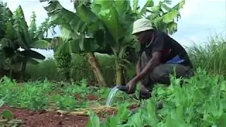 Malawi - LOMADEF