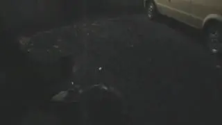 FluteSaber.wmv