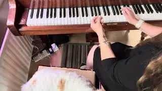 You can easily play Tutti Frutti by Little Richard
