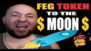 FEG Token Liquidity SOLD OUT in Beta - (FEG) Cryptocurrency To The MOON