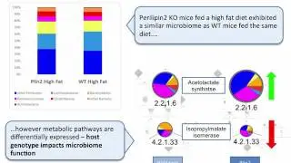 Analysis of Metagenomic Data: Metatranscriptomics