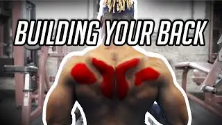 HOW TO GROW YOUR BACK | FULL WORKOUT