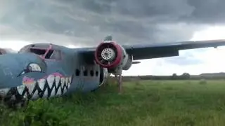 Cool Shark Art on the old plane