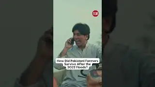 How Did Pakistani Farmers Survive After the 2022 Floods? || TCM Shorts #tcmshorts