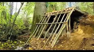 Building a stunning earth home in the jungle 🏠