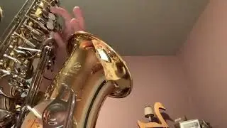 All the notes to the saxophone 🎷 