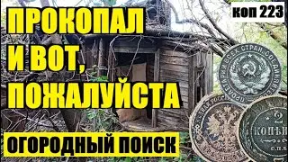 СНОВА НАХОДКИ ПОШЛИ И ЭТО РАДУЕТ. коп 223