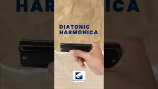 6 видов губных гармошек, диатоническая губная гармошка (блюзовая губная гармошка)