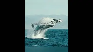 unnerving images with unnerving music 6