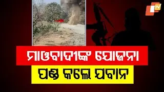 CRPF Personnel Foil Maoists' Attack Plan on Security Forces in Chhattisgarh, Destroy Planted IEDs