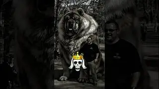 World&rsquo;s Biggest Dog 😱 This Is Not Normal! #shorts #dog