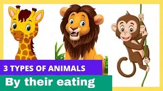 Types of Animals on the basis of food habits| Types of animals
