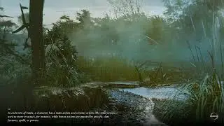 Solasta: Lost Valley Walkthrough Part 17