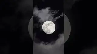 Full Moon in a Dark Sky 🌌 | Calm Night Vibes #Shorts #stressrelief #deepsleep #relax