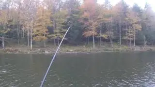 Buffalo Fork Lake Trout Fishing