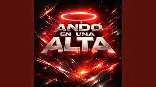 ANDO EN UNA ALTA