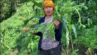 Farmer /fram cleaning potatoes #northeast#india///