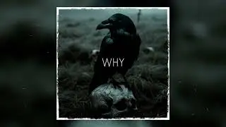 (Free For Nonprofit) Beat- 