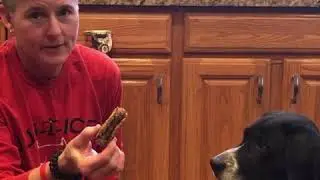 Try our Fido Fun Meal