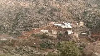 ثقيف