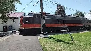 Iowa Pacific E8A #515 at the Illinois Railway Museum.