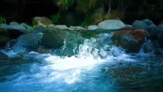 River Stream Sleep Sounds for Relaxation, Focus & Stress Free Bedtime Routine