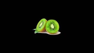 This Kiwi Notice You're Tired, It Will Keep You Company for 1 Hour