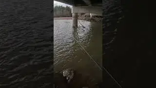Crappie-Angeln