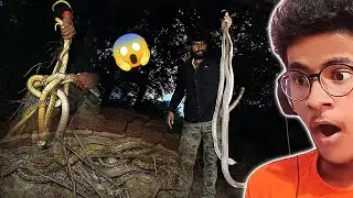 ALL SNAKE RESCUE VIDEO | RV CHHOTUAA