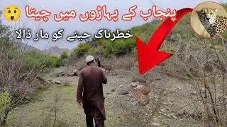 Leopard attack in Pakistan| | leopard attack dog | leopard attack