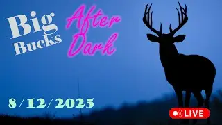 Watch Big Bucks Grow! Nightly Live Stream!