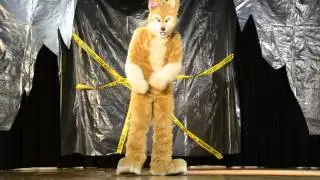 MiDFur Dance Fracas - Chay FuzzDingo