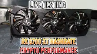 RX 6700 XT Hashrate - Mining Performance - Live Testing