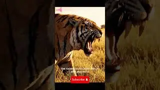 🦣 Top Extinct Animals and Their History! 🌍 | Lost Giants of the Past 🦈✨